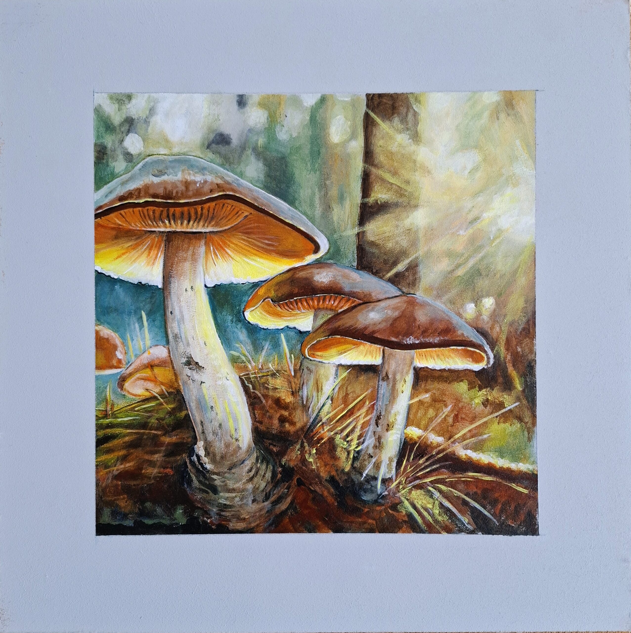 Paddestoelen